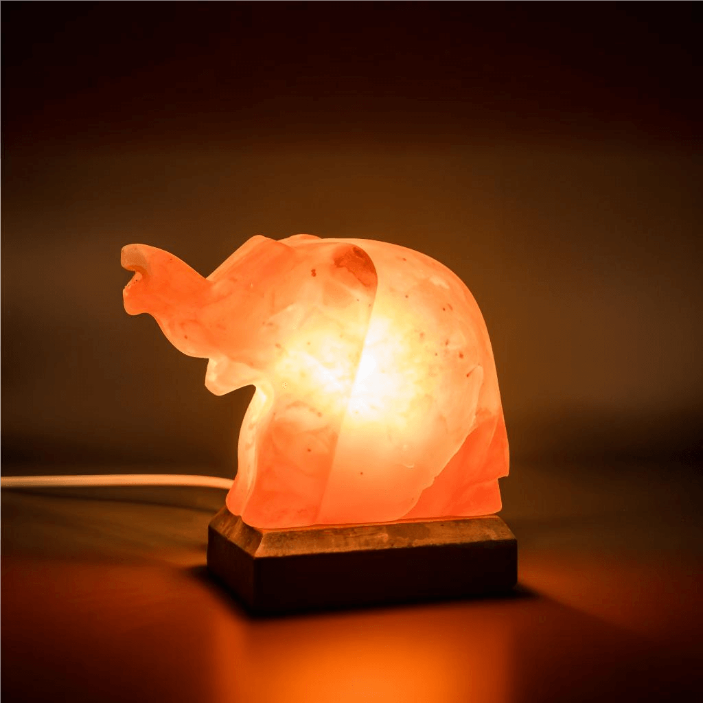 Salt Lamp